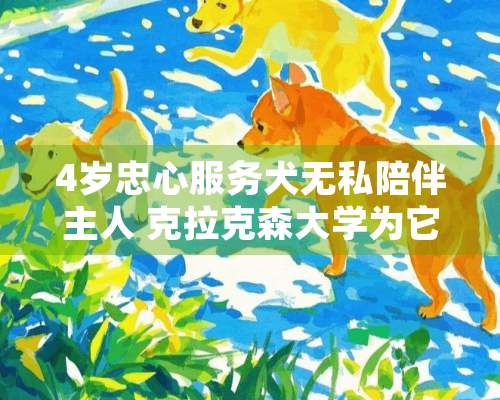 4岁忠心服务犬无私陪伴主人 克拉克森大学为它颁发荣誉证书