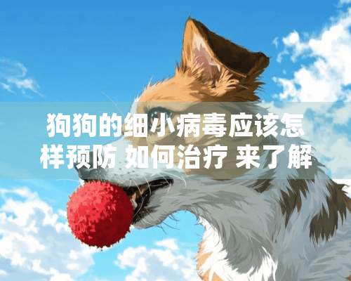 狗狗的细小**应该怎样预防 如何治疗 来了解一下