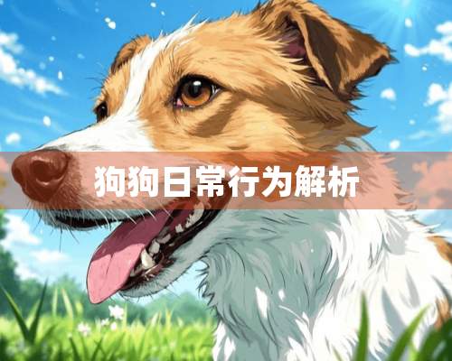 狗狗日常行为解析