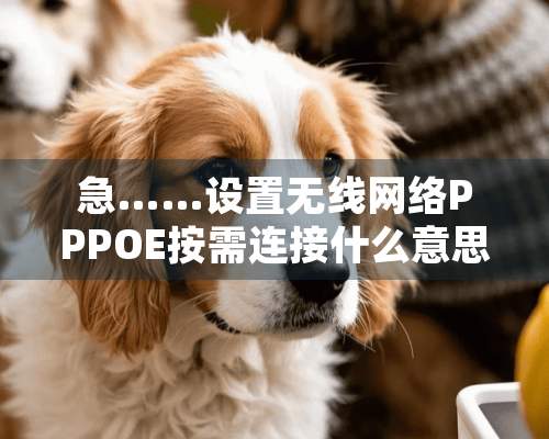 急……设置无线网络PPPOE按需连接什么意思啊？