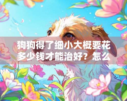 狗狗得了细小大概要花多少钱才能治好？怎么治疗？