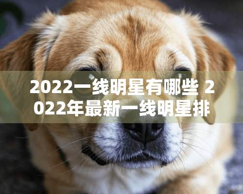 2022一线明星有哪些 2022年最新一线明星排行榜名单