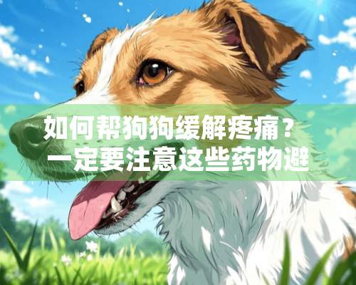 如何帮狗狗缓解疼痛？ 一定要注意这些药物避免给狗狗使用