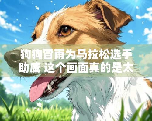 狗狗冒雨为马拉松选手助威 这个画面真的是太暖心了