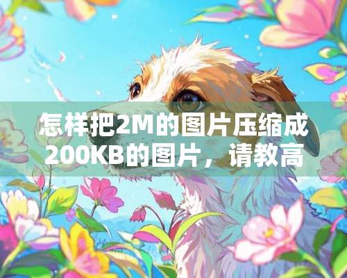 怎样把2M的图片压缩成200KB的图片，请教高手。