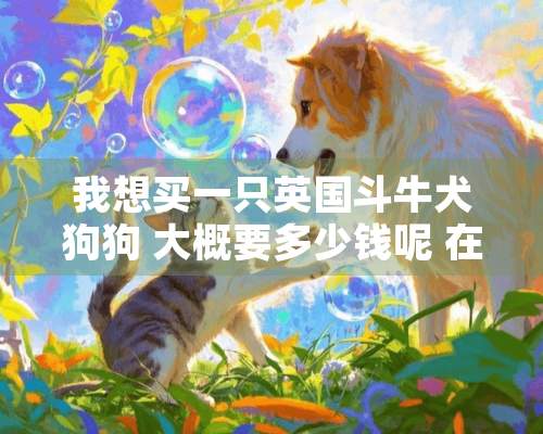 我想买一只英国斗牛犬狗狗 大概要多少钱呢 在