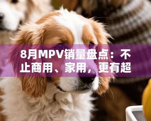 8月MPV销量盘点：不止商用、家用，更有超值创业神器