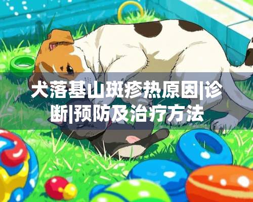 犬落基山斑疹热原因|诊断|预防及治疗方法