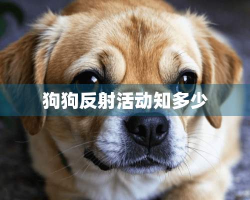 狗狗反射活动知多少