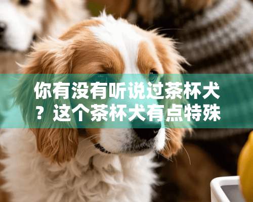 你有没有听说过茶杯犬？这个茶杯犬有点特殊啊