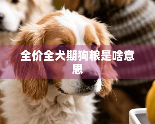 全价全犬期狗粮是啥意思