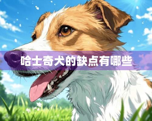 哈士奇犬的缺点有哪些