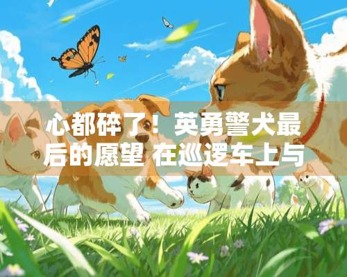 心都碎了！英勇警犬最后的愿望 在巡逻车上与同伴相聚