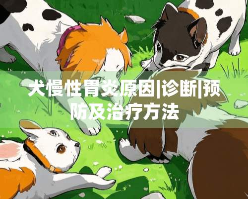 犬慢性胃炎原因|诊断|预防及治疗方法