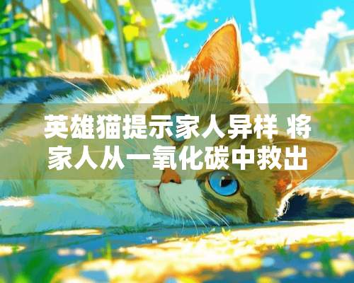 英雄猫提示家人异样 将家人从一**碳中救出