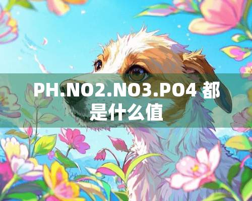 PH.NO2.NO3.PO4 都是什么值