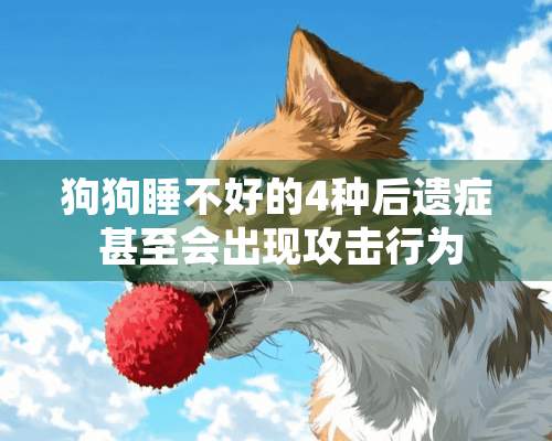 狗狗睡不好的4种后遗症 甚至会出现攻击行为