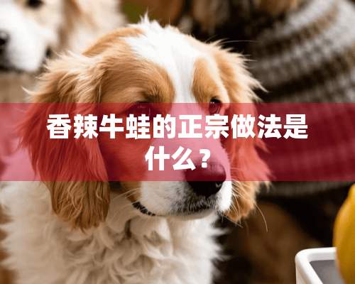 香辣牛蛙的正宗做法是什么？