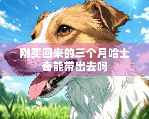 刚买回来的三个月哈士奇能带出去吗