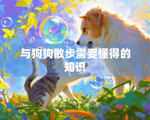 与狗狗散步需要懂得的知识