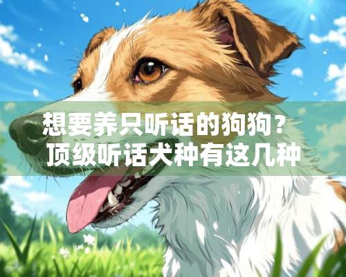 想要养只听话的狗狗？ **听话犬种有这几种