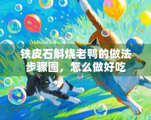 铁皮石斛烧老鸭的做法步骤图，怎么做好吃