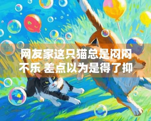 网友家这只猫总是闷闷不乐 差点以为是得了抑郁症 结果万万没想到