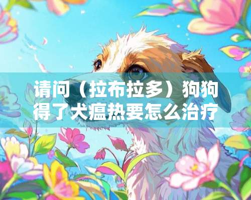 请问（拉布拉多）狗狗得了犬瘟热要怎么治疗？？