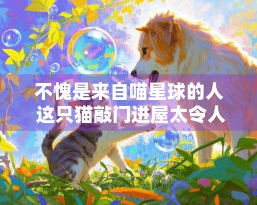 不愧是来自喵星球的人 这只猫敲门进屋太令人震惊了