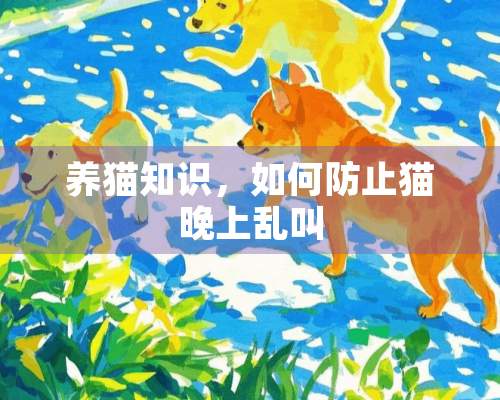 养猫知识，如何防止猫晚上乱叫