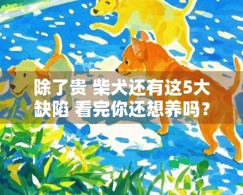 除了贵 柴犬还有这5大** 看完你还想养吗？