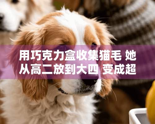 用巧克力盒收集猫毛 她从高二放到大四 变成超巨大黄金砖块