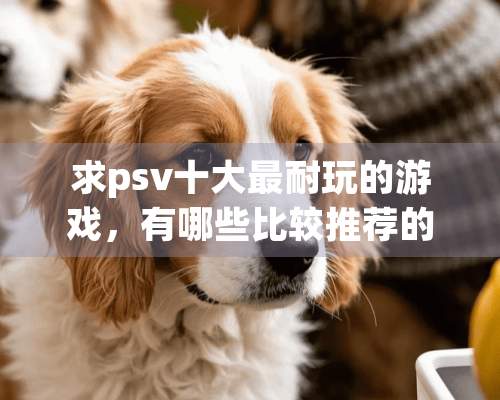 求psv十大最耐玩的游戏，有哪些比较推荐的？