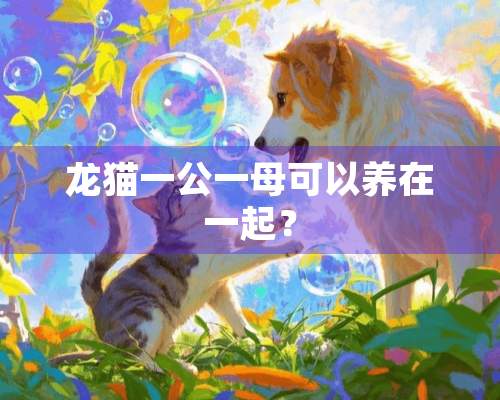 龙猫一公一母可以养在一起？