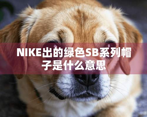 NIKE出的绿色SB系列帽子是什么意思