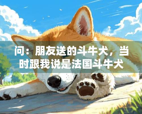 问：朋友送的斗牛犬，当时跟我说是法国斗牛犬，我对斗牛犬并不是十分了解，它现在42斤，根据体重我觉得