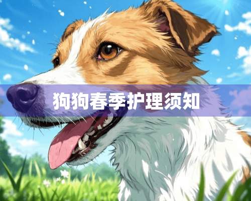 狗狗春季护理须知