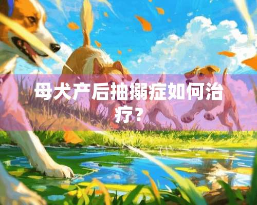 母犬产后抽搦症如何治疗？