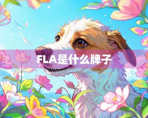 FLA是什么牌子