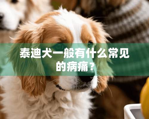 泰迪犬一般有什么常见的病痛？