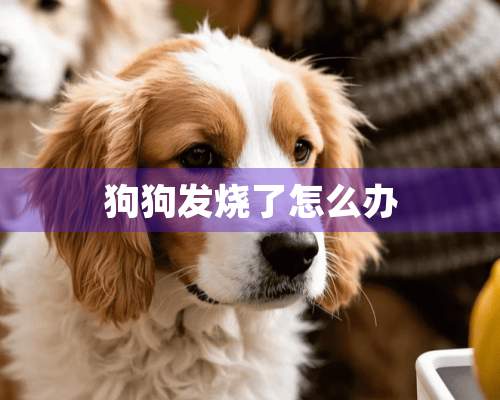 狗狗发烧了怎么办