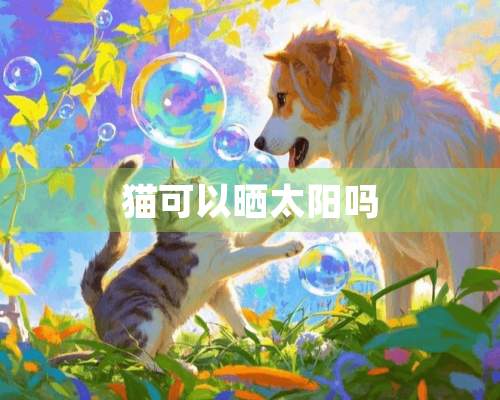 猫可以晒太阳吗