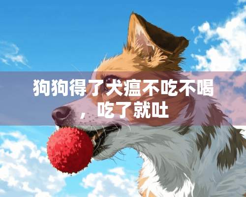 狗狗得了犬瘟不吃不喝，吃了就吐