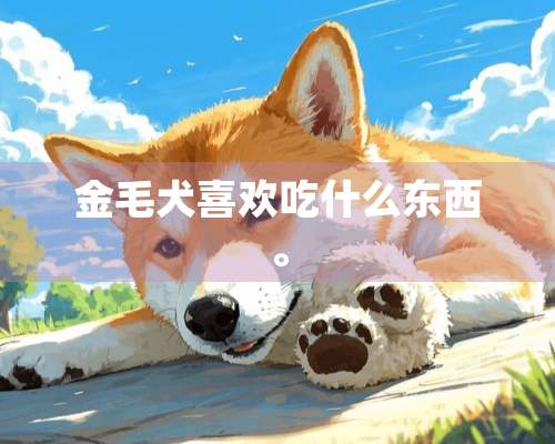 金毛犬喜欢吃什么东西。