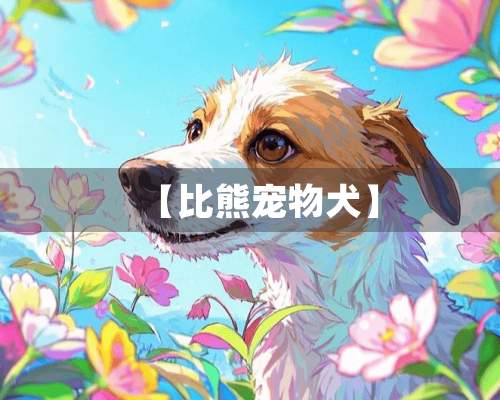 【比熊宠物犬】