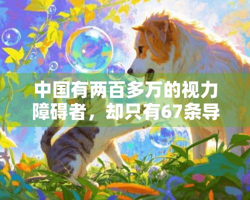 中国有两百多万的视力障碍者，却只有67条导盲犬，导盲犬都是经过好几年的严格训练，选用的都是性格温和