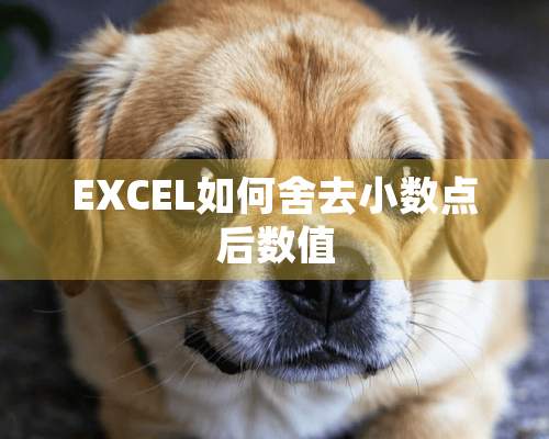 EXCEL如何舍去小数点后数值