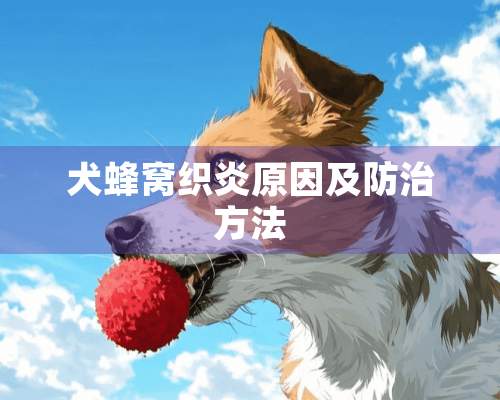 犬蜂窝织炎原因及防治方法