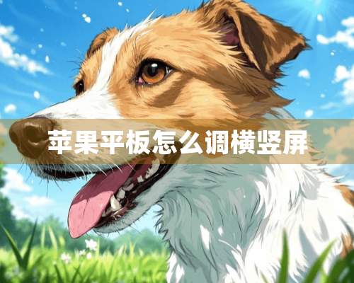 苹果平板怎么调横竖屏