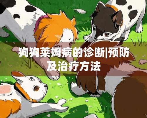 狗狗莱姆病的诊断|预防及治疗方法